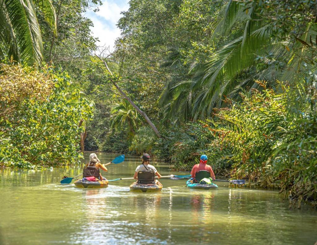 Lovely Near Monkey Habitat And Apartment Quepos